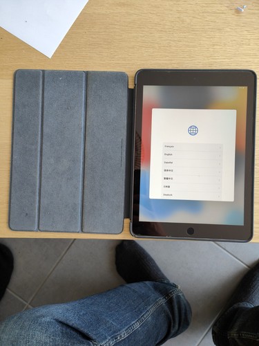 Ipad pro gris - 9.7,